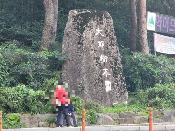 대구 수목원 아이랑 나들이하기 좋은 곳