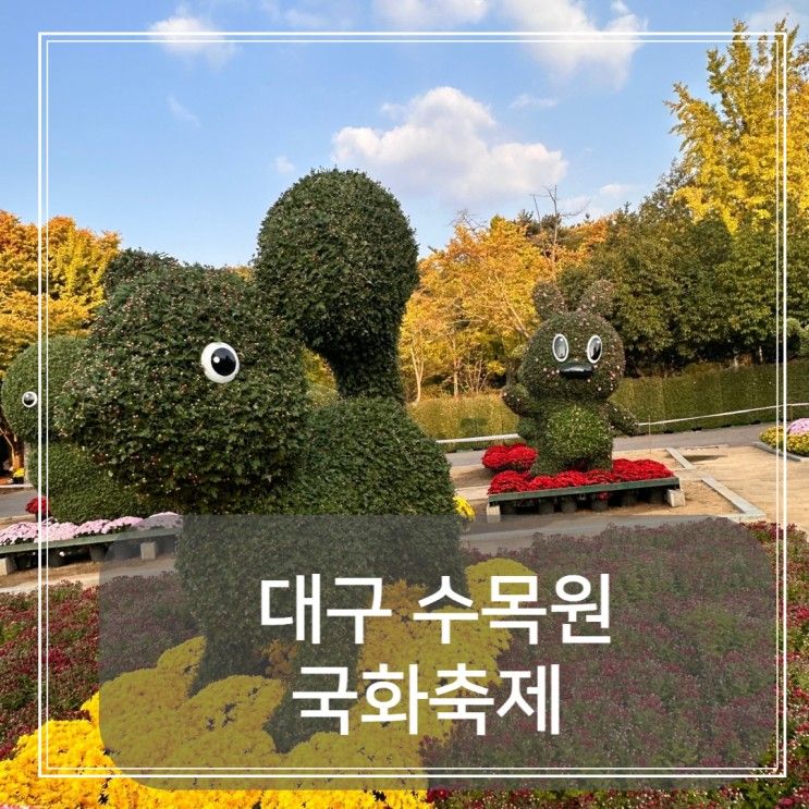 대구 아이랑 갈만한곳 대구수목원 국화축제