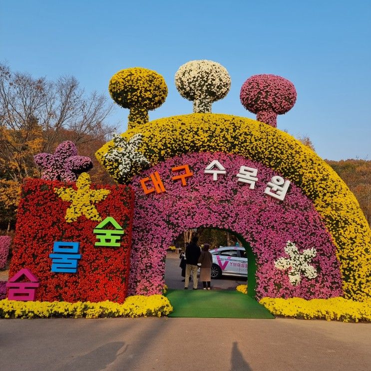 대구 15개월 아이랑 갈만 한 곳 - 대구수목원 국화축제