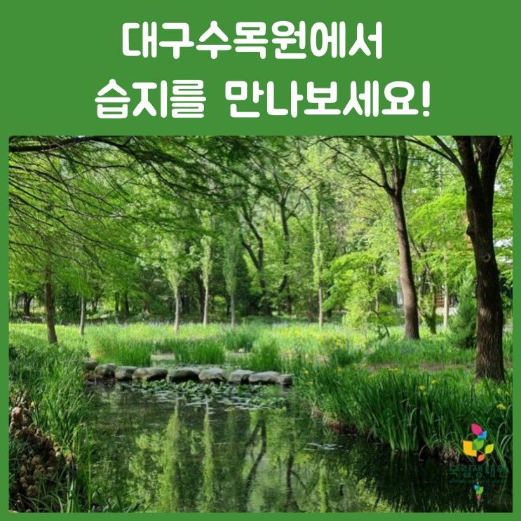 대구수목원에서 습지를 만나보세요!