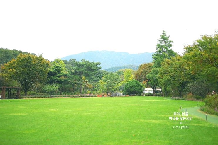 대구 수목원 주차 맨발걷기 산책 나들이코스