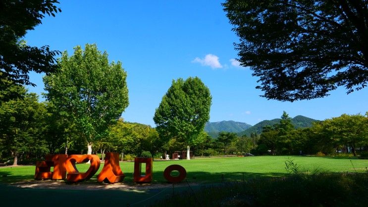 대구 가볼만한곳 : 대구수목원 꽃무릇 산책로