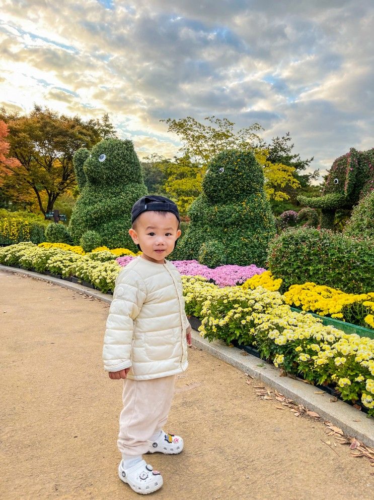 2022 대구 수목원 국화축제 개화! 단풍 구경 아이랑...