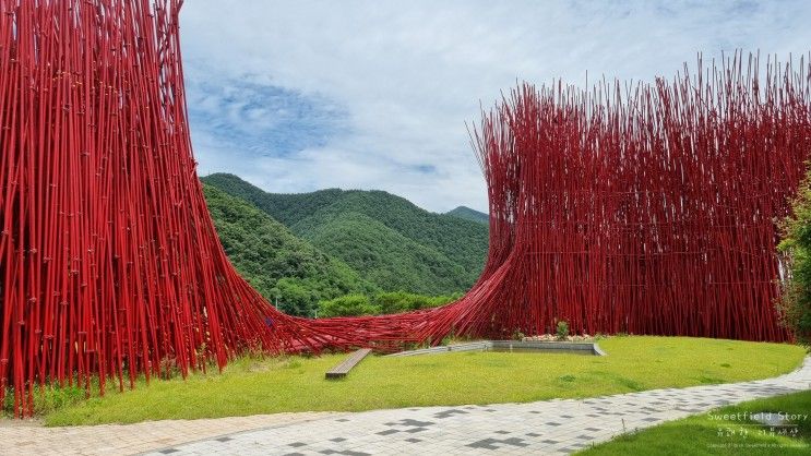 영월 가볼만한곳 젊은달와이파크 입장료 맛집 주차장 근처 주변볼거리