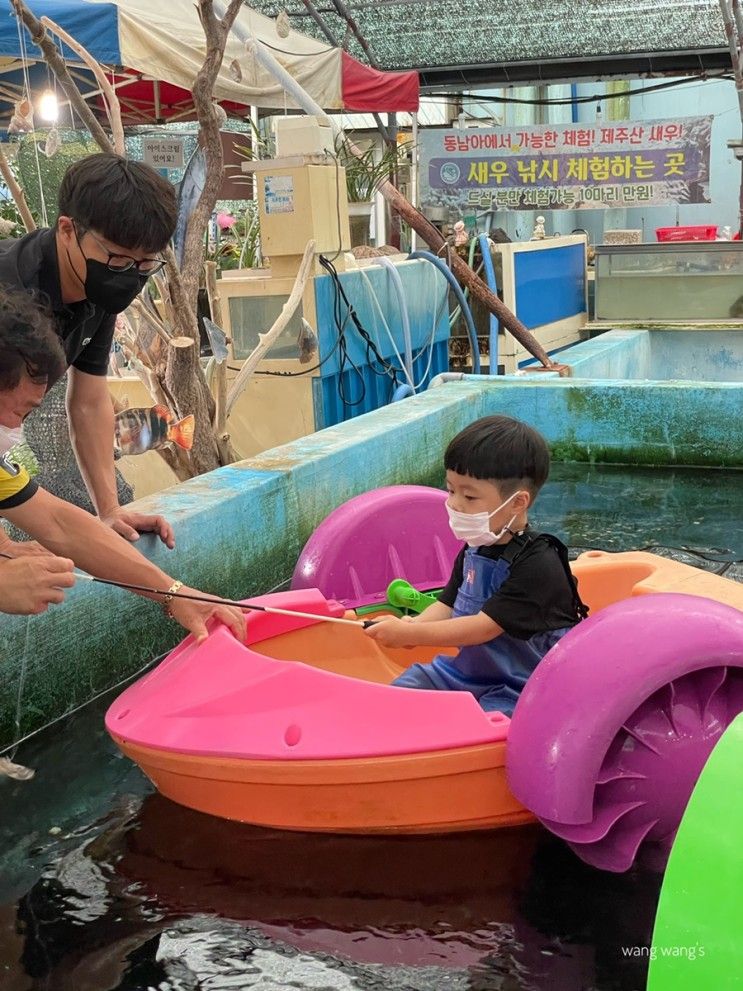 제주 구좌 아이랑 가볼만한곳 : 바다체험장