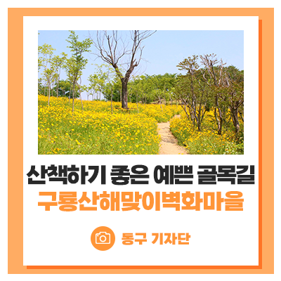 대구 동구 알록달록 예쁜... 10경, 해맞이공원 산책로, 금호강...