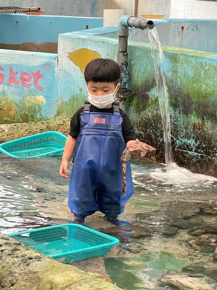 생후1280일 빵빵이일상 / 43개월 / 삼촌결혼식 / 제주바다체험장 / 블챌