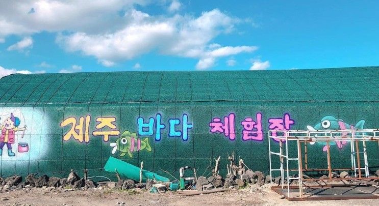 제주 함덕 아이와 함께 갈만한곳   제주바다체험장