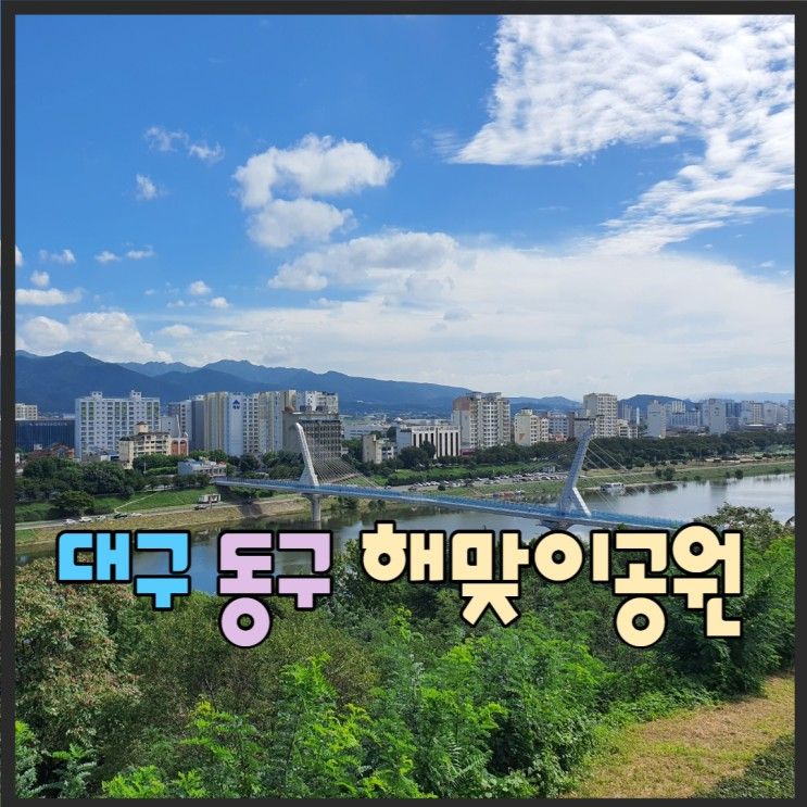 대구 해맞이공원 가을에 산책하기 좋은곳 (주차정보)