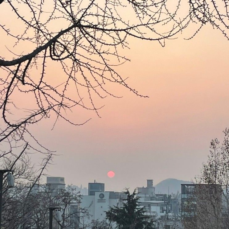 [대구 동촌 해맞이 공원] 2023년 해 보고왔어요 새해복 많이...