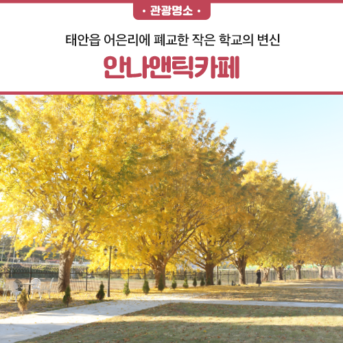 태안읍 어은리에 폐교한 작은 학교의 변신, 안나앤틱카페