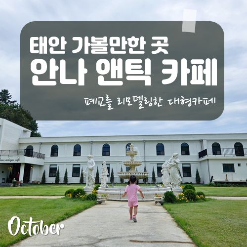 가볼 만한 곳] 태안 대형 카페/폐교를 리모델링한 안나앤틱 카페