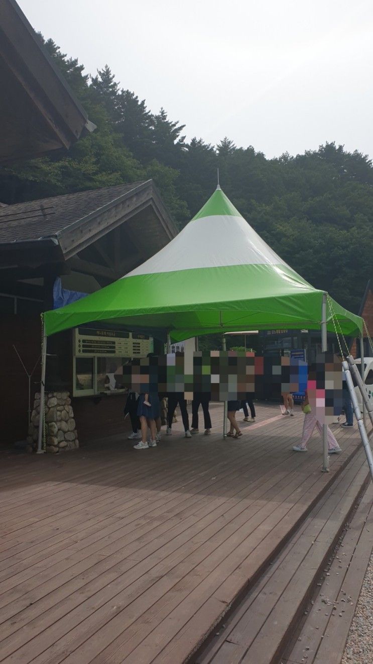 용평리조트 후기 3  - 발왕산 애니포레