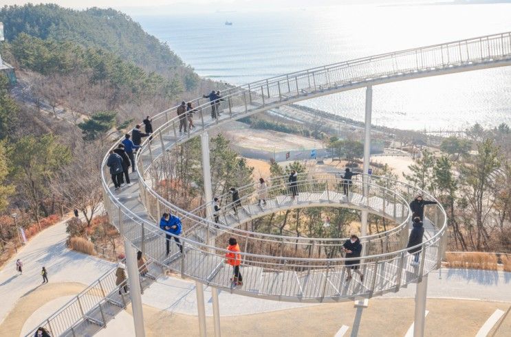 포항가볼만한곳 환호공원 포항 스페이스워크