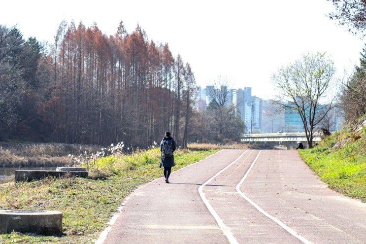 경안천 트레킹 (경안천습지생태공원 ~ 청석공원, 왕복 23km)...