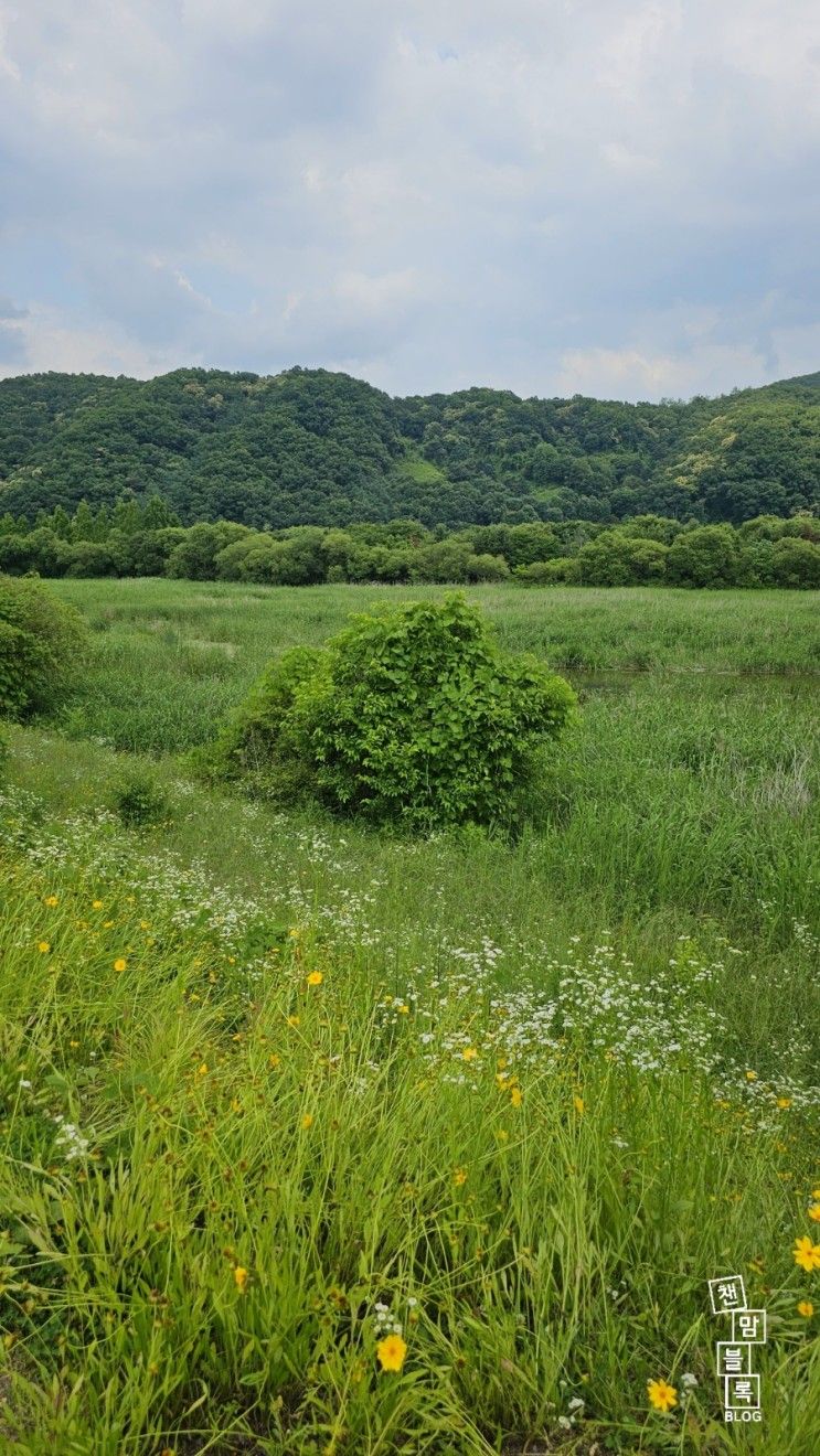 퇴촌 가볼만한곳 경안천습지생태공원 산책하기좋은곳