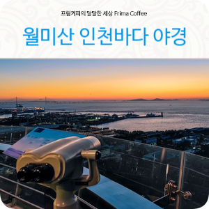 인천 월미공원 월미산 전망대 아름다운 인천 바다 야경 추천