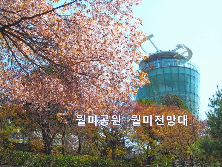 벚꽃명소/월미도〕월미공원... 풍경(Feat.월미산정상&월미전망대)