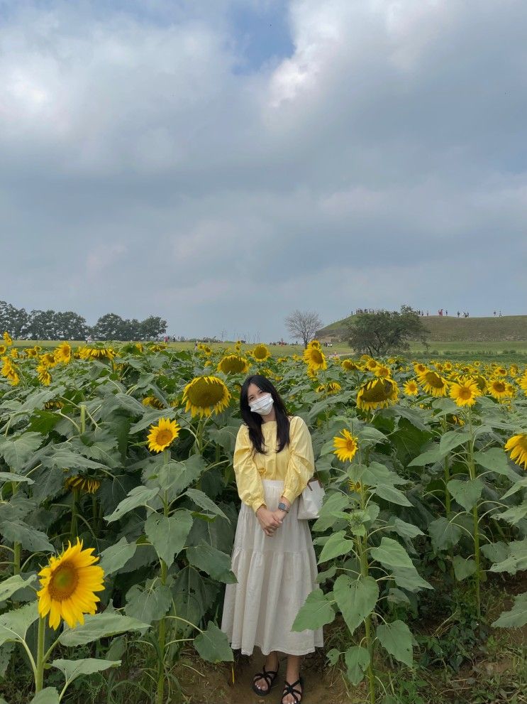 연천 당일치기 여행, 연천 호로고루, 고랑포구 역사공원, 경순왕릉, 임신29주