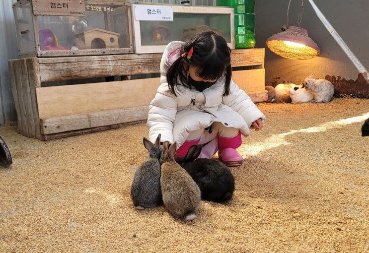 [여수 여행] 아이들이 좋아하는 여수 한우드림 동물체험장 함께 가기