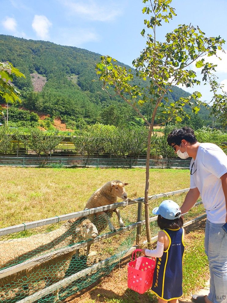 전남 여수 ★　동물을 좋아한다면 가볼만한곳 : 여수 한우드림 동물체험장