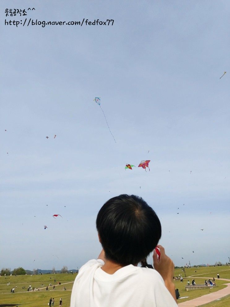 임진각 평화누리공원 연날리기 참 좋아요.