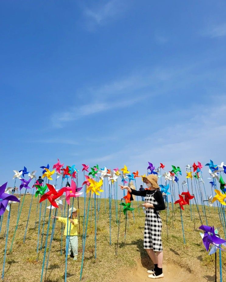 파주 임진각 평화누리공원 아이와 놀기 좋은곳