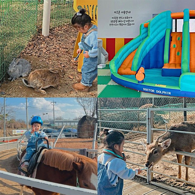 에어바운서,마차등 아이랑 가기 좋은 [ 창녕 우포승마장 ]