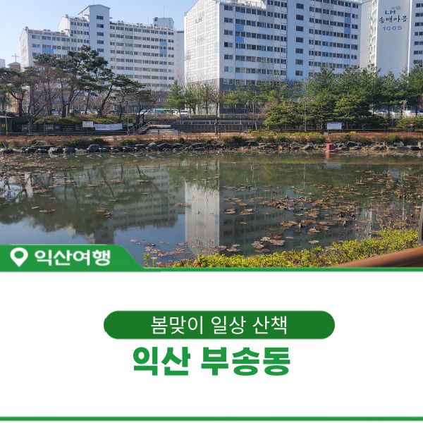 익산 부송동 아이와 걸어보기 (송정제~전북과학교육원)