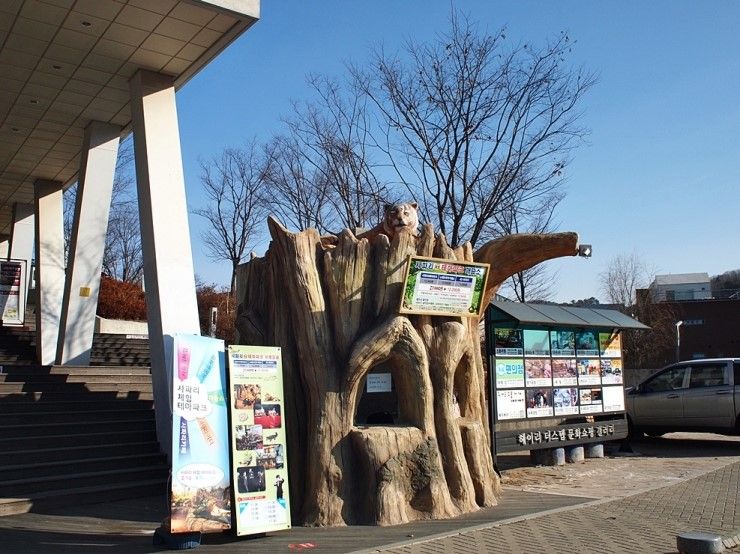 헤이리 아이들 갈만한곳 : 헤이리 사파리 체험 테마파크