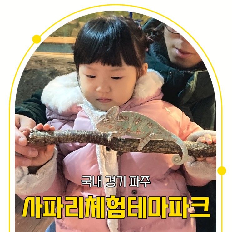 헤이리마을 사파리체험테마파크 가는 길 파주 아이 놀거리