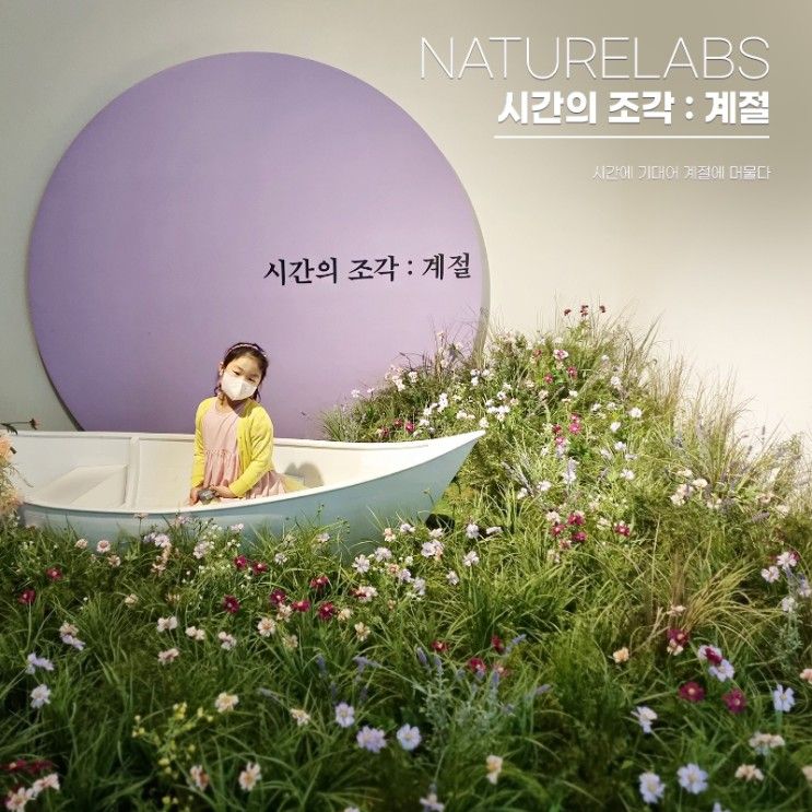 한국의 사계절을 느낄수 있는 미디어아트 전시 , 시간의조각:계절