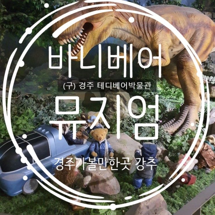 경주 가볼만한곳 경주 바니베어뮤지엄(구. 테디베어박물관) / 경주 비오는날 / 아이와 가볼만한곳/ 내돈내산