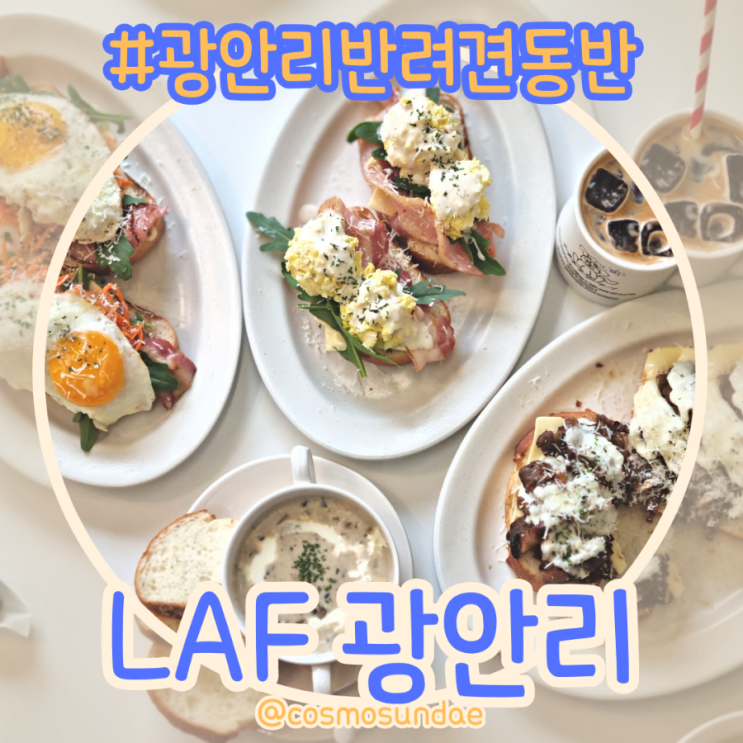 광안리 반려견동반이 가능한 브런치맛집 라프 광안리점