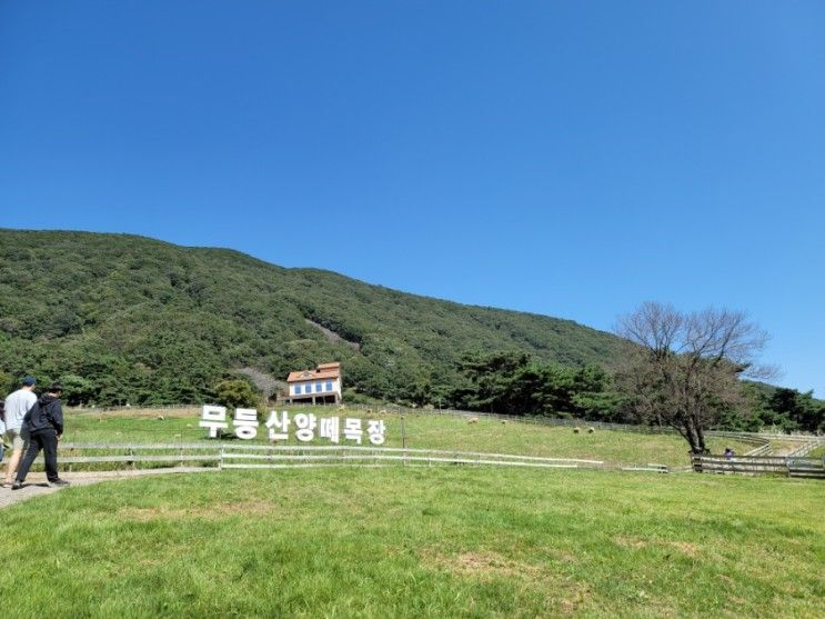 광주무등산양떼목장 나들이 아이와 함께 계획중이라면 꼭...