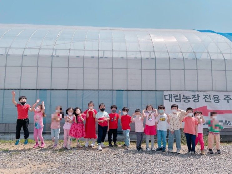 딸기 농장 체험 - 안양청명어린이집, 안산대림농장