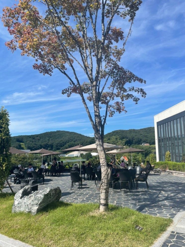 [용인 처인구]엄청난 규모의 핫플/베이커리 대형카페 칼리오페 아기와 방문 후기