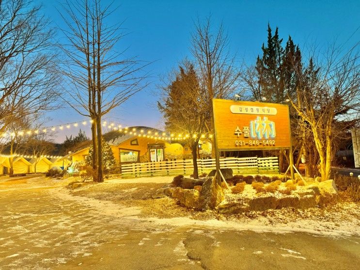 양주 당일글램핑 수풀림 반려동물 동반 캠핑식당
