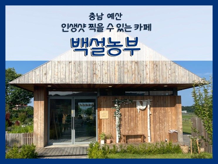 [충남 예산] 인생사진 찍을 수 있는 야외뷰가 이쁜 백설농부...