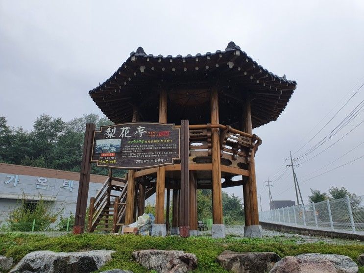 [천안숲길] 성환왕지봉배꽃길, 미리 가 본 이화에 월백하고...