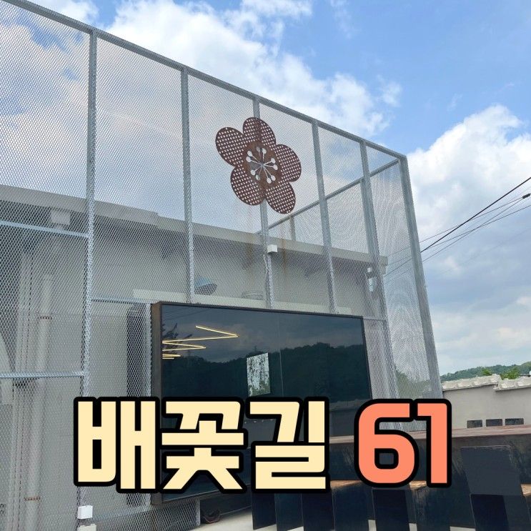 [안성 카페] 과수원 애견동반카페 '배꽃길 61'