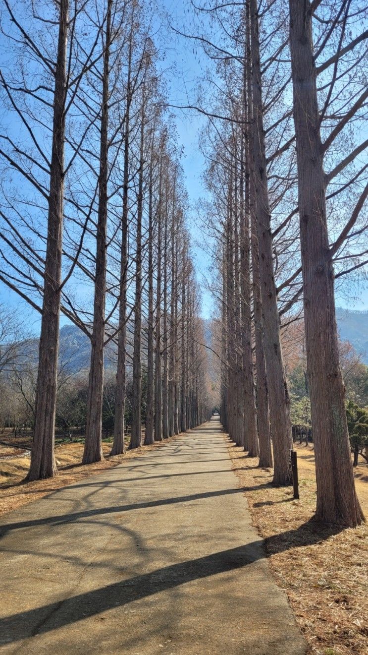 전라남도 산림자원연구소 산책