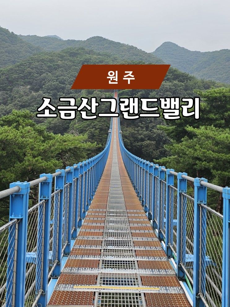 원주 가볼만한곳 출렁다리 소금산 그랜드밸리!