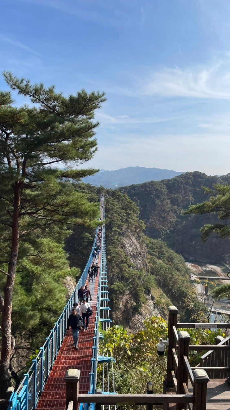 <원주 당일치기> 소금산 그랜드밸리 출렁다리, 구룡사