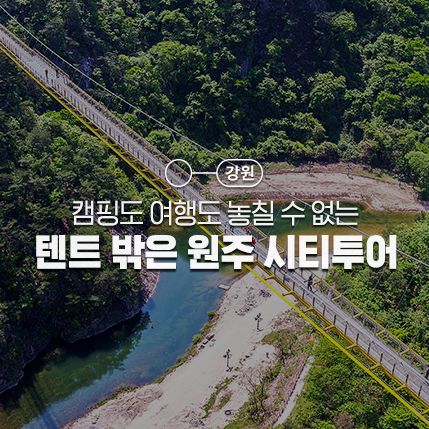 시티투어 :: 소금산그랜드밸리, 도래미시장, 중원전통시장...