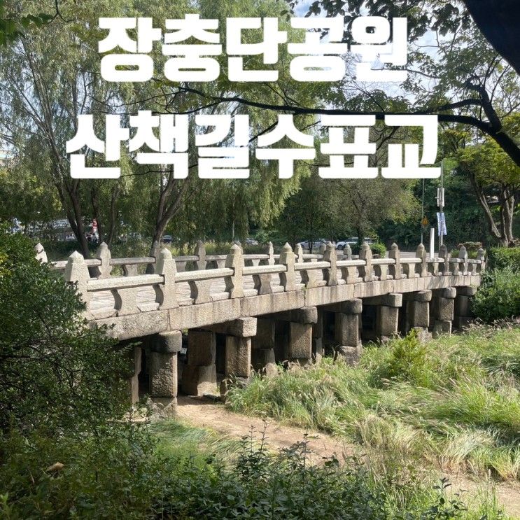 중구 공원] 장충단 공원 산책길  HAUS 실개천 수표교 장충단비