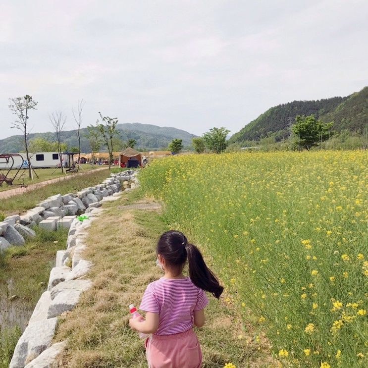 대구 근교 아이와 가볼 만한 캠핑장, 성주 솔가람 피크닉