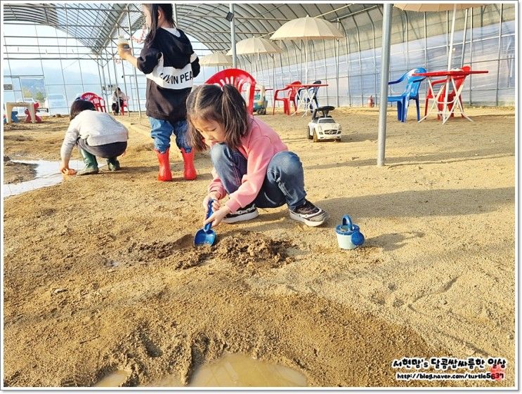 대구근교글램핑장 성주 솔가람피크닉 당일치기 캠핑과 바베큐...