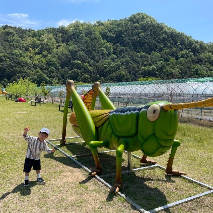 대구근교 성주 아이랑가볼만한곳 솔가람피크닉