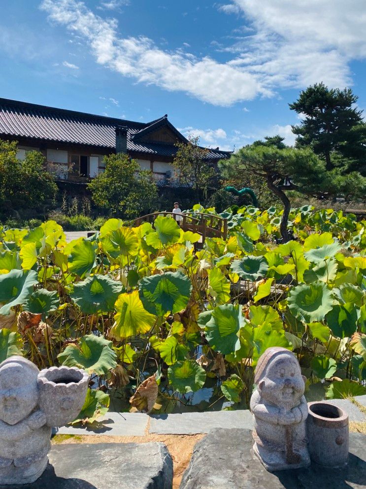 충남 공주한옥마을 아이와 숲 놀이터 전통문화체험